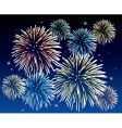 Fireworks vector image