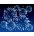 Fireworks vector image