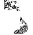 Peacock vector image