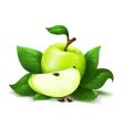 Apple with leafs vector image