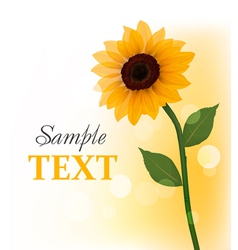 Beautiful sunflower vector image