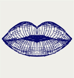 Woman lip mouth kiss vector image