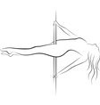 Pole dancer vector image