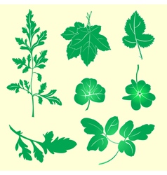 Plants silhouettes vector image