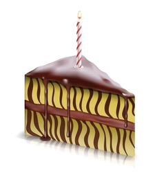 Piece of cake with candle vector image