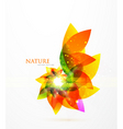 Modern leaves vector image