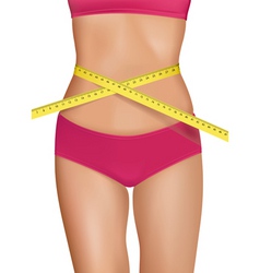 Fit young woman body vector image
