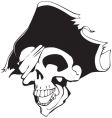 Pirate skull vector image