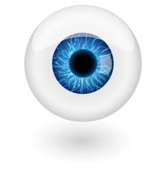 Blue eyebal vector image