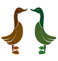 Duck vector image