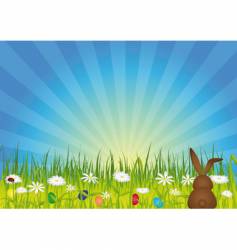 Easter bunny on green meadow vector image