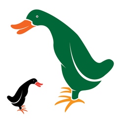 Duck vector image