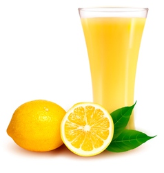 Fresh lemon and glass with juice Fresh lemon and glass with juice vector image