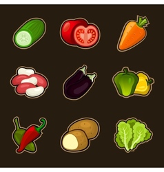 Glossy vegetable set vector image