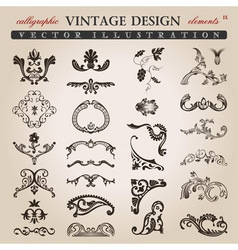 Flower calligraphic vintage royal design elements vector image