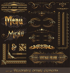 Golden design elements and page decor vector image