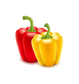 Sweet pepper isolated on white vector image