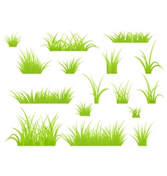 Grass patches vector image