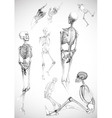 Sketch of skeletons - vector image