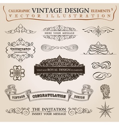 Calligraphic elements vintage vector image