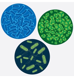 Viruses vector image