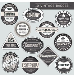 Vintage badges vector image