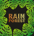 Rain forest vector image