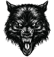 Hand Drawn Wolf Linework vector image