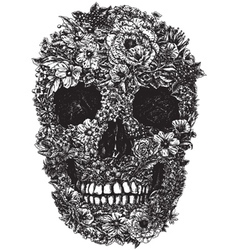 Flower Skull Linework vector image
