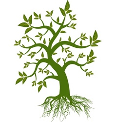 Tree with green leaves vector image