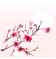 Sakura vector image