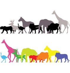 Wild animal silhouette vector image