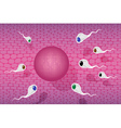 Sperm race vector image