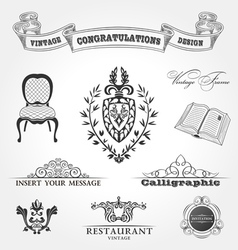 Elements vintage vector image