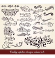 Set of calligraphic design elements vector image
