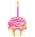 Cupcake with burning candle vector image