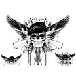 Skull vector image