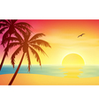Tropical Sunset vector image