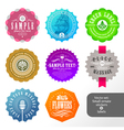 Set of small labels and stickers vector image