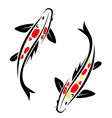 Carp koi vector image