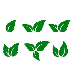 Set of green leaves silhouettes Set of green leaves silhouettes vector image