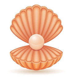 Shell 03 vector image