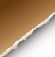 Torn paper background vector image