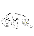 Panther vector image
