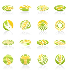 Wheat and rye logo template set elements for desig vector image