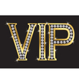 VIP Badge vector image