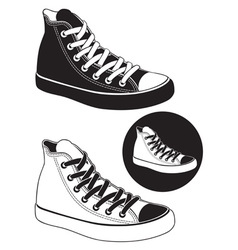 Gumshoes vector image