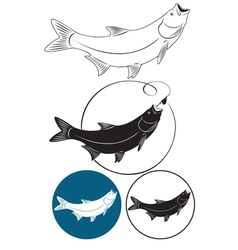 Fish chub vector image