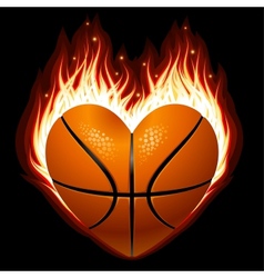 Basketball on fire vector image