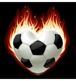 Football on fire vector image